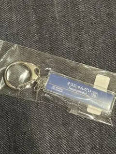 相鉄　そうにゃんだい キーホルダー