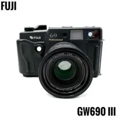 FUJIFILM GW690III アイピース　T-386 Fuji GSW690III Professional – The Texas Leica - Photo Thinking