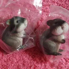 ガチャ クアッカワラビー グレー毛　バラ売りはしてません。値下げしました