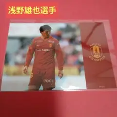 名古屋グランパス　浅野雄也選手　ブロマイド