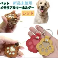 Item thumbnail for item fbbc5b49-0ae5-4c60-8973-a72d76561fd2