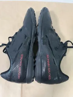 MIZUNOモナルシーダネオ