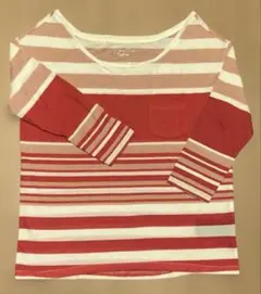 アメリカンイーグル　レディース　Tシャツ