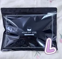 新品未使用☆AGARISM×GYDA アップミースタイリングブラ Lサイズlh