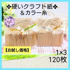 3 NB タグ（1×3／120枚) 値札 クラフト紙【硬い紙／ベージュ】