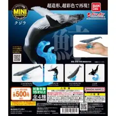 いきもの大図鑑　ミニコレクション　クジラ　全4種　コンプ