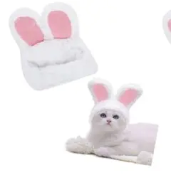 Item thumbnail for item 0b0f8604-31f9-412e-9005-5ca0ab5b4d2c