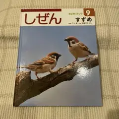 Item thumbnail for item 2f4df0e9-2730-40f5-a3ba-4bf6ebe3da2a