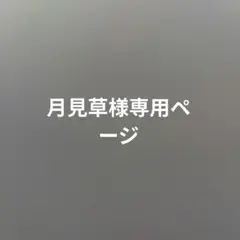 専用ページ