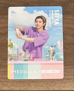 BUDDiiS MEDULLA トレカ SEIYA