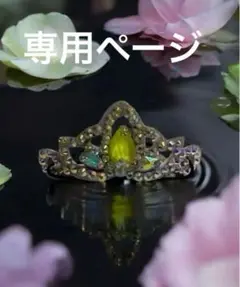 専用ページ