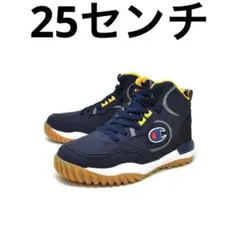 Item thumbnail for item 5261aa06-112c-41e7-9854-b43de9959b12