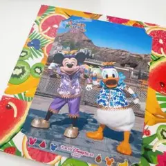 東京ディズニーシー サマーフェスティバル 2015 フォトファン2枚セット