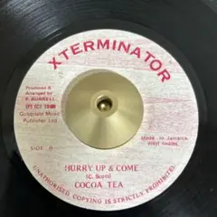 レゲエレコードcocoa tea/hurry up&come