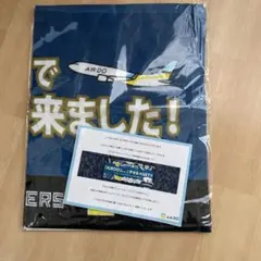 AIR DOで来ましたタオル