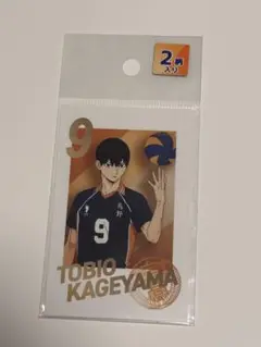 ハイキュー スマロイド 影山飛雄