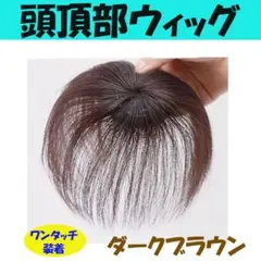 ☆頭頂部 ウィッグ 部分かつら ヘアピース 自然 ブラウン つけ毛 メンズ 18