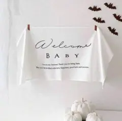 welcome baby タペストリー ニューボーンフォト 月齢カード