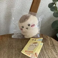 Item thumbnail for item 62ca5ad2-d4e2-4a06-b77c-3ea9f32b72ca