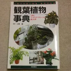 観葉植物事典