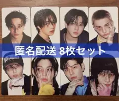 straykids スキズ KARMA skzoo ver 封入 コンプ 8種類