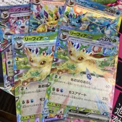 ブイズ rr まとめ売り