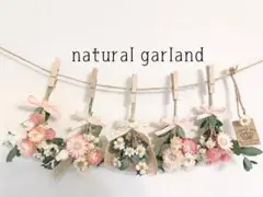 ドライフラワー　ピンク　ヘリクリサム 花かんざし　スワッグ　ガーランド