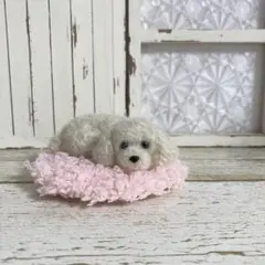 マルプー＊お迎えまだかなぁ＊毛糸　羊毛フェルト　犬　ぬいぐるみ　ミニチュア