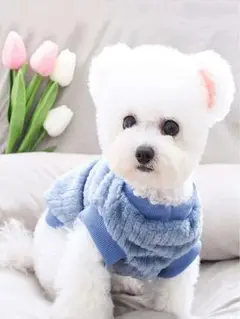 Item thumbnail for item 03952c6b-7a05-4c0f-b64a-ac34227019f5