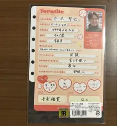 木浪聖也　プロフィール帳　阪神タイガース
