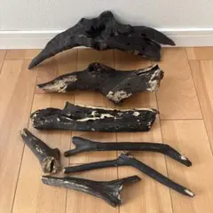 Item thumbnail for item a74f7842-ba20-4a59-b634-2788c00d78a7