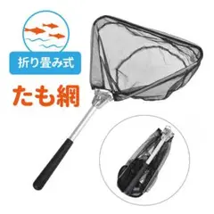 【送料無料】たも網 ランディングネット 伸縮