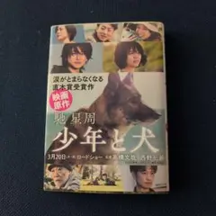 少年と犬