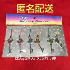 東京ディズニーリゾート 25周年 ストラップセット ドリームキー