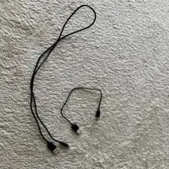 USB Type-C ケーブルセット　1mと30㎝