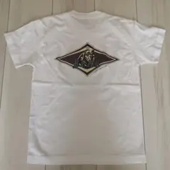 BEARロゴ Tシャツ ホワイト 熊柄半袖120サイズ