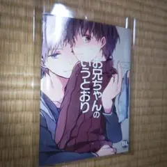 お兄ちゃんのいうとおり