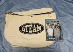 &TEAM WEGO ショルダーバッグ ポストカード付き
