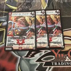 ニクジール　ブッシャー　3枚セット