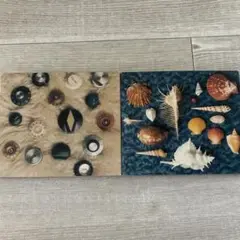 スピッツBestアルバム2セット