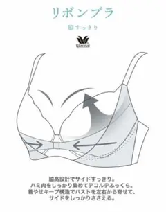 まもなく出品終了❗️限界お値下げ❗️ ワコールリボンブラF70新作カラーWACOAL