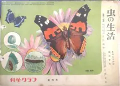 科学クラブ　昭和30年創刊号　特集/虫の生活　t