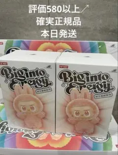 【正規品・未開封】Labubu Big into Energy 2箱