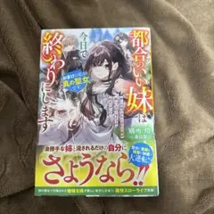 都合のいい妹は今日で終わりにします おまけの私が真の聖女です。姉に丸投げされた…
