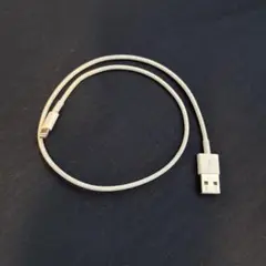 Lightningケーブル USB-A ホワイト　30cm