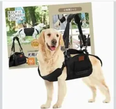 Item thumbnail for item 91308aae-13e9-40c3-a395-88be7aaa9063