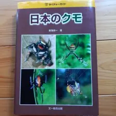 希少本　日本のクモ(ネイチャーガイド/図鑑)