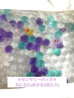 センサリーバッグ＊ぷにぷに(あひる入り)＊モンテッソーリ
