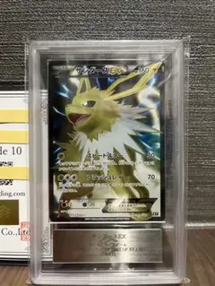 THE BEST OF XY サンダースEX psa10 PSA10鑑定済〕サンダースEX【P】{195/XY-P}