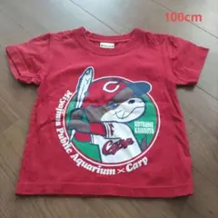 UnitedAthle Tシャツ カープ×宮島水族館 100cm